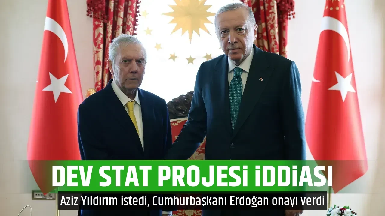 DEV STAT PROJESİ İDDİASI