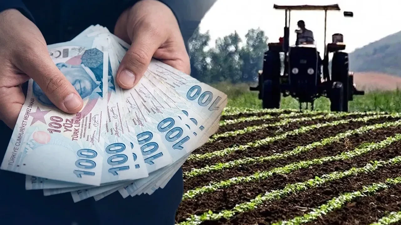 Çiftçilere yeni destek kararı Resmi Gazete'de: Ödeme tutarları artırıldı
