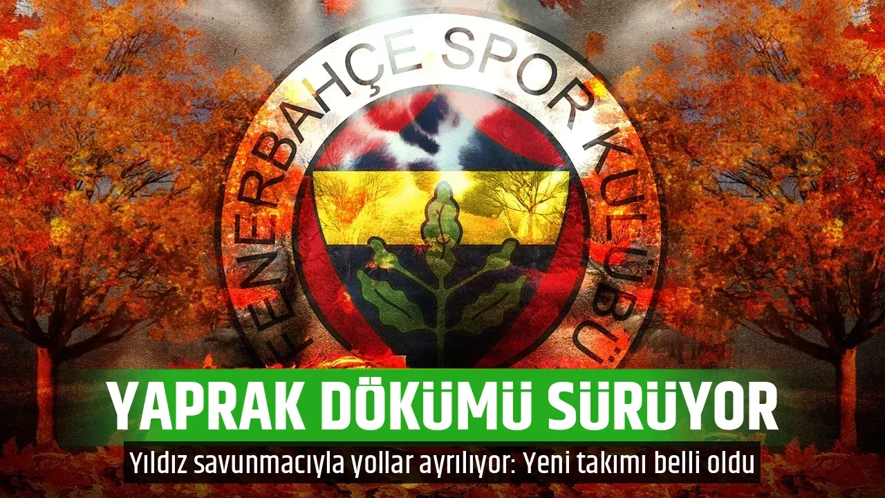YAPRAK DÖKÜMÜ SÜRÜYOR