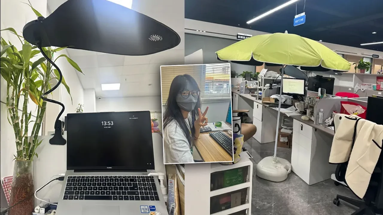 Ofiste şemsiye açıp maske takıp yüzlerini kapatıyorlar, işte şaşırtan akımın sebebi