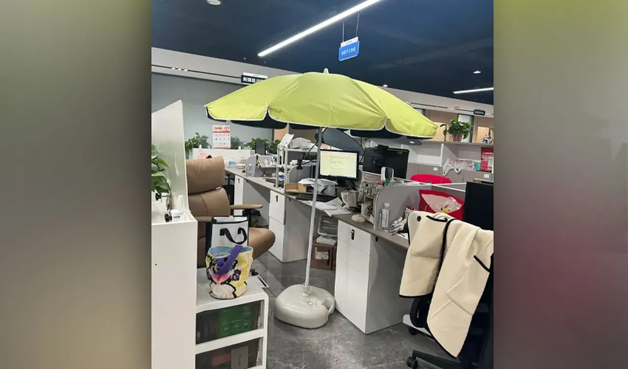 Ofiste şemsiye açıp maske takıp yüzlerini kapatıyorlar, işte şaşırtan akımın sebebi