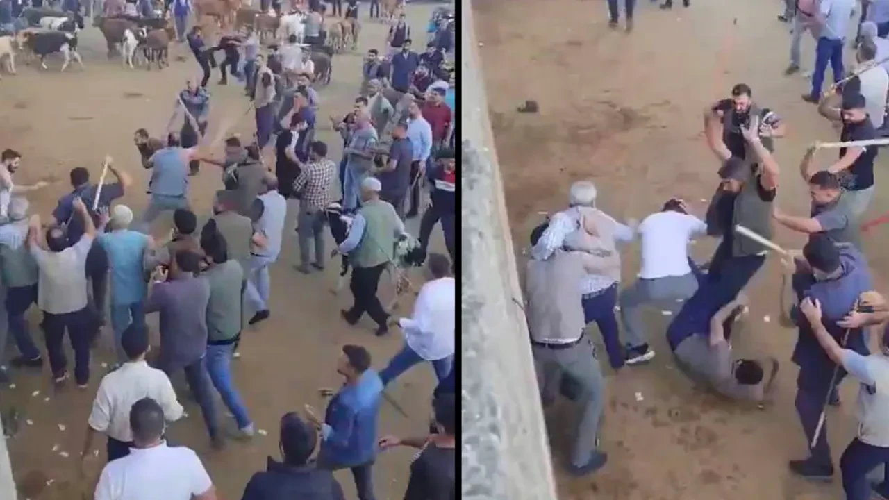 Önlerine geleni dövdüler! Ortalık savaş alanına döndü