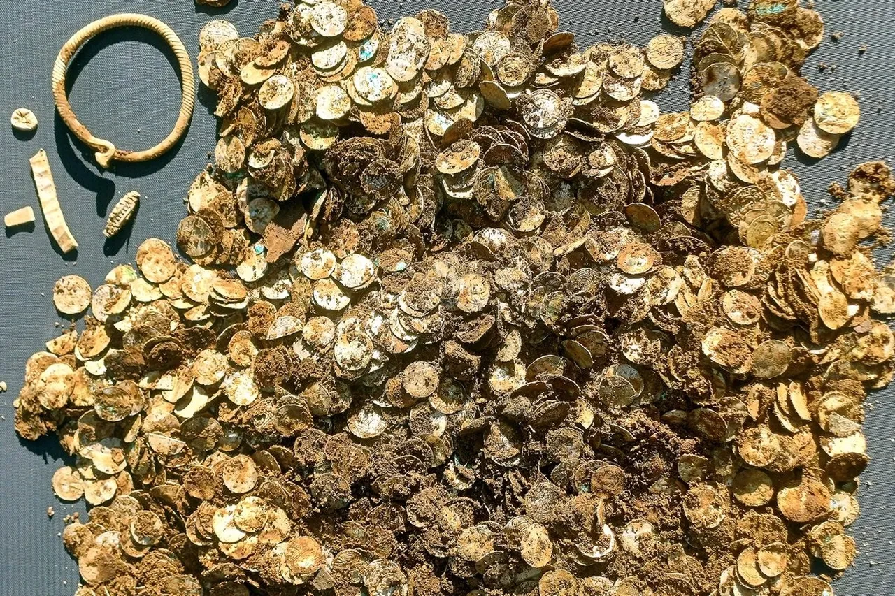 Ağaç kabuğundan hazine çıktı! Altın, gümüş etrafa saçıldı