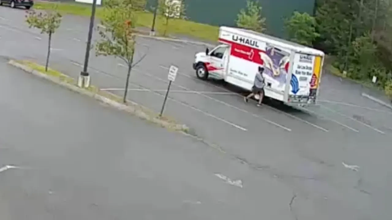 Yolun ortasında 'gizemli hayvan' paniği! Polis bile ne olduğunu belirleyemedi