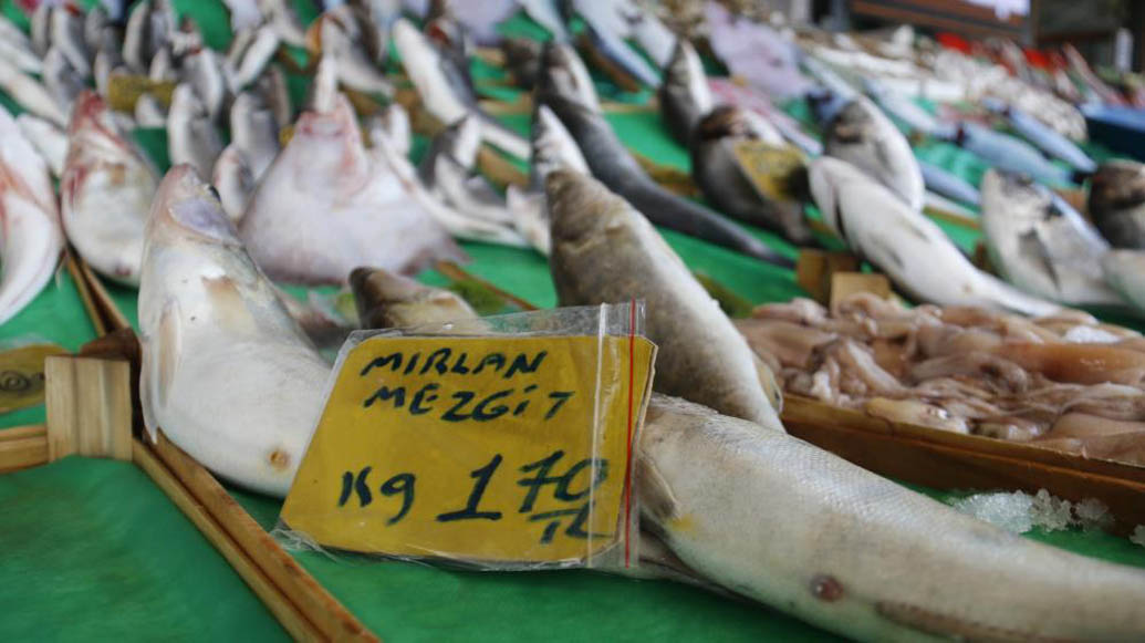 Balık av sezonunda son ağlarını denize bırakan balıkçılar, yakaladıkları son deniz mahsullerini tezgahlardaki yerlerine dizdi. Yasak öncesi son taze ürünlerden almak isteyen vatandaşlar, balık pazarlarını doldurup taşırırken sezonu erken kapatan bazı balıkçılar ise, hem teknelerini hem de ağlarını onarmaya başladı.