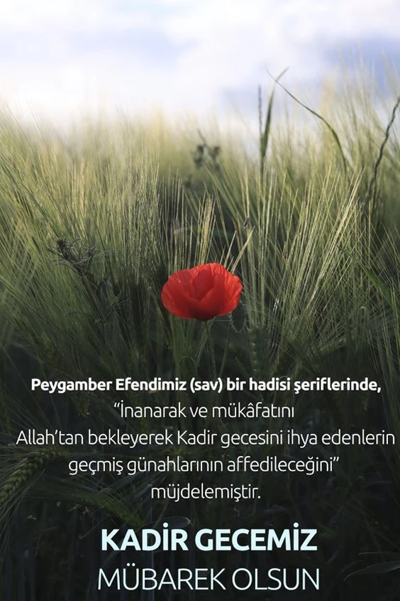 “Ramazan ayının son on günü girdiğinde Resûlullah geceleri ihyâ eder, ev halkını uyandırır, ciddiyetle ibadete soyunur ve eşleriyle ilişkiyi keserdi.” (Buhârî, Leyletül-kadr 5)