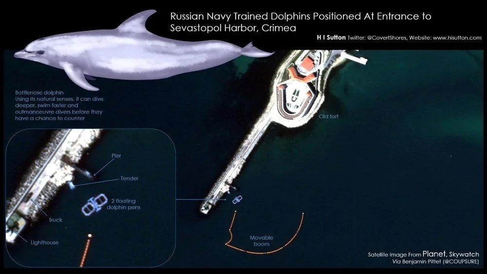 ABD Deniz Enstitüsü (USNI), Sivastopol limanındaki deniz üssünün uydu görüntülerini inceledi. Rusya’nın Ukrayna’ya saldırılarının en başında iki yunus ordusunu üsse taşıdığı ortaya çıktı.