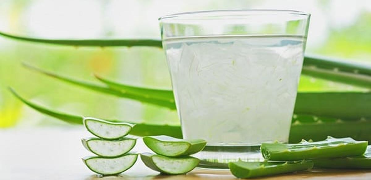 Aloe vera faydaları saymakla bitmez Cilt sağlığından kalbe, diyabetten şekere şifa deposu olan Aloe Vera içerdiği antioksidanlar sayesinde diyabet ve kalp hastalığı tedavisinde önemli rol oynar. 