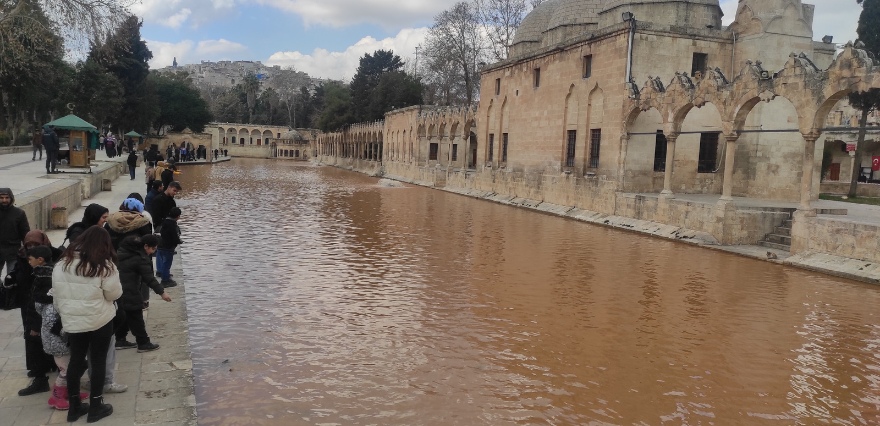 <p>Merkez üssü Kahramanmaraş olan depremde etkilenen illerden Şanlıurfa'da, kentin simgesi olan tarihi Balıklıgöl suyu çamur rengine büründü.</p>