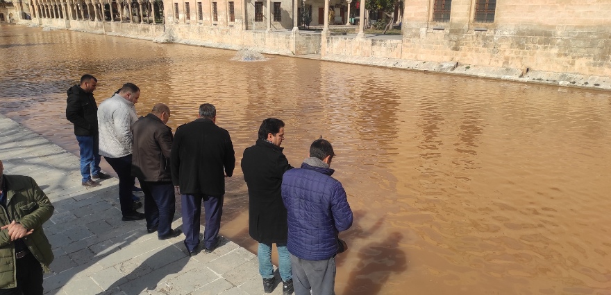 <p>Ziyaretçiler, kaybolan balıkların beslenmeleri için göle yem attı.</p>