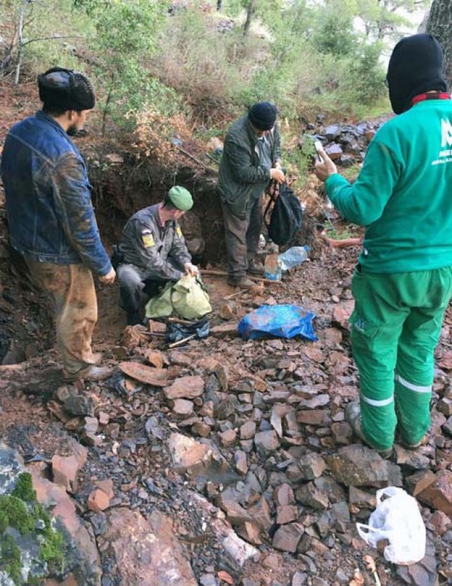 Dünyada bir tek Türkiye'de bulunan bu doğal taş, ülkemizde Muğla ilimizin milas ilçesinde çıkarılmaktadır. Diaspor taşı yaygın biçimde takı olarak kullanılmaktatır ve ülkemizden bütün dünyaya ihraç edilen bir taştır. Dünyada bu taşa ilgi büyüktür. Son yıllarda özellikle Hollywood starları tarafından rağbet görüyor. Bu taşın rabet görmesinin en büyük sebeplerinden biri çok estetik görünümde olması ve ışığa göre renk değiştirmesidir.

