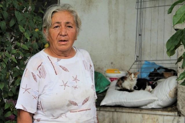 Sokaktan bulduğu yardıma muhtaç hayvanlara yardım eden Kamile Aydın, “Dışardan bulduğum yardıma muhtaç, aç hayvanları eve getiriyorum. Hasta olanları veterinere götürüyorum. İlaçlarını alıyorum, yaraları olursa sarıyorum. Gözlerine damla damlatıyorum” diye konuştu.
