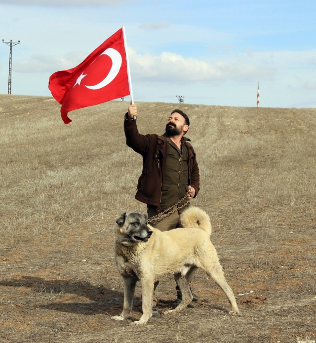 Kangal köpeklerinin Afrin'e milli ideal olarak gönderip ve milli işin içerisini kapsayarak çok büyük görev üstlenebileceklerini aktan Yıldız şöyle konuştu: