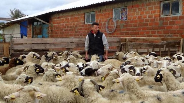 5 tane yavrunun sağlıklı bir şekilde dünyaya gelmesi ve yaşamlarını devam ettiriyor olmalı oldukça sevindirici. Çok fazla örneği yok. Ender rastlanan bir durum. 