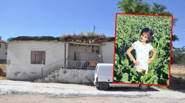 Bursa'da yaşayan İbrahim ve Şerife Yağlıkara çiftçi, yaz tatili için memleketleri Polatlı ilçesi Uzunbeyli Mahallesi'ne geldi. 