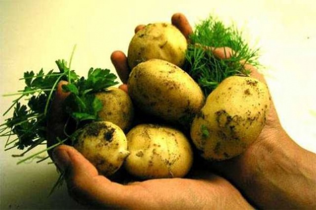 Patates suyunun saçlara ve cilde de yi geldiğine ilişkin veriler bulunmaktadır. Patates suyu çok iyi bir antiinflamatuvardır. Bel, sırt ve eklem ağrılarının giderilmesinde etkilidir