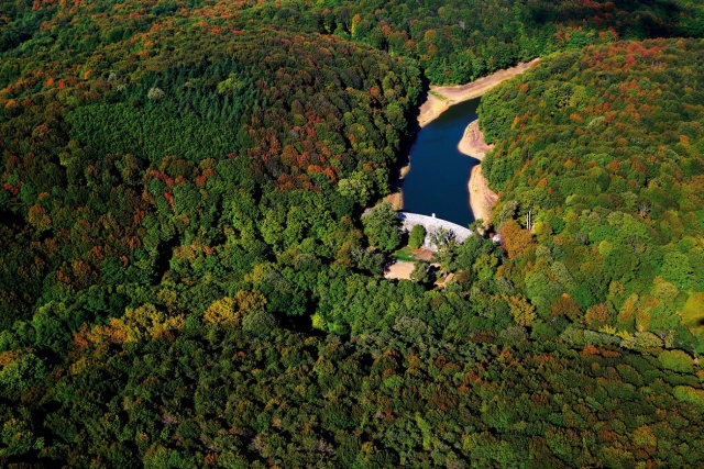 Belgrad Ormanı İstanbul’un tamamının akciğeri hükmündedir. Çünkü burası İstanbul’un oksijenini sağlayan en yakın ve en büyük ormanlık alandır. Orman, Çatalca Yarımadası'nın en doğu uç bölgesinde yer alır. Belgrad Ormanı’nın içinde eski su kemerleri de bulunur. Endemik bitki türleri arasında bölgenin tüm florasını görebileceğiniz orman, İstanbul’a özgü tüm bitki türünü gözlemleyebileceğiniz mekân burasıdır.

