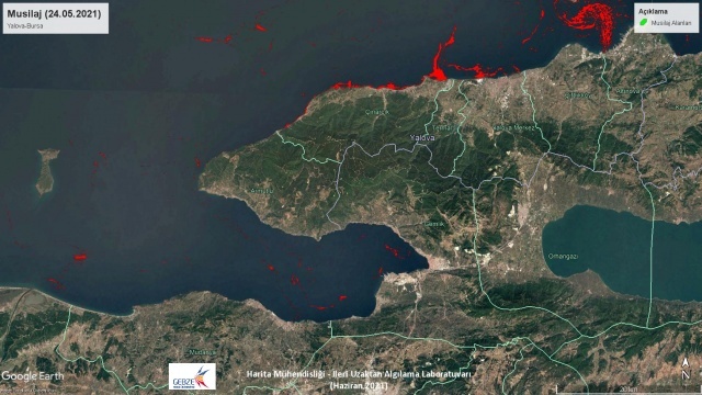 Aynı dönemde İstanbul tarafında az miktarda müsilaj görüldüğüne, İzmit Körfezi'nde hemen hemen hiç müsilajın ortaya çıkmadığına işaret eden Kavzoğlu, şöyle devam etti:

