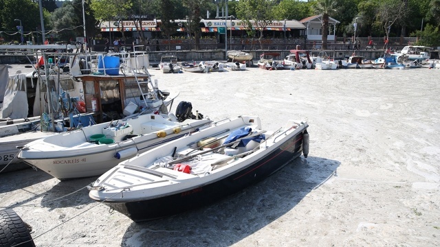 Burada özellikle marina bölgesinde etkili olan ve birçok bölgeyi kaplayan müsilaj, teknelerin giriş ve çıkışlarını etkiliyor.