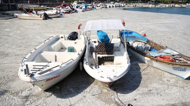 Çalışmalarda tekne, deniz süpürgeleri ve dalgıçların desteğiyle toplanan deniz salyaları, kentteki arıtma tesisine götürülüyor.