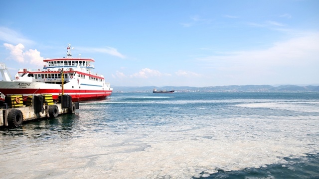 Darıca ilçesi Eskihisar marina bölgesinde etkili olan ve birçok bölgeyi kaplayan müsilaj, teknelerin giriş ve çıkışlarını etkiliyor.