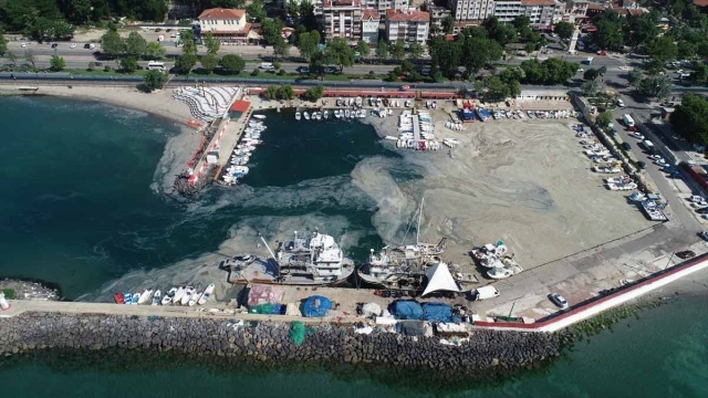 Marmara Denizi'nde etkili olan müsilaj (deniz salyası), Tekirdağ sahilini kaplamıştı. 