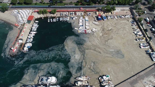 Tekirdağ'daki Marmara Denizi'nde etkili olan lodos nedeniyle balıkçı barınağı müsilaj ile (deniz salyası) kaplandı.