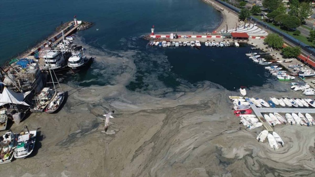 Çalışmalar kapsamında Tekirdağ'da bugüne kadar 139 metreküp müsilaj toplandığı öğrenildi.