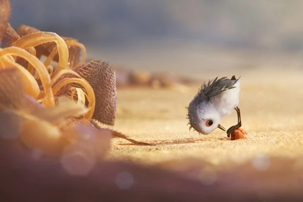 2017 Oscar'ı kimler kazandı, kimler kaybetti? 89. Oscar Ödülleri Töreni ve yaşananlar