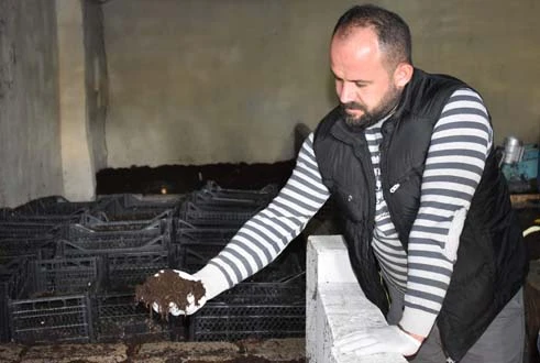 5 milyon solucan besleyip, gübre üretiyor