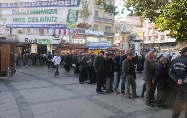 Çam fidanı için metlerce kuyruk oluştu