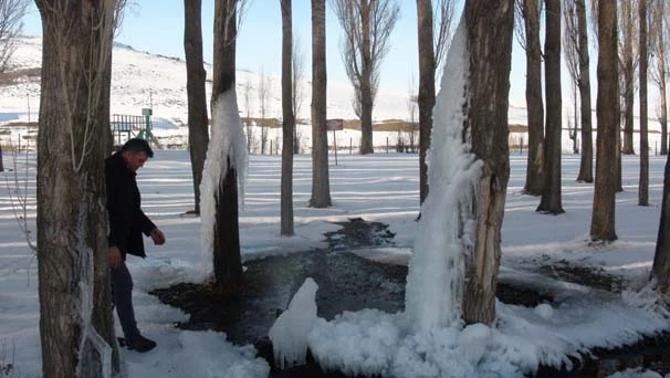 Patlayan su borusu ağaçları dondurdu