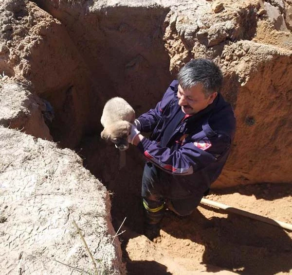 Herkes seferber oldu! O kurtarılmayı böyle bekledi