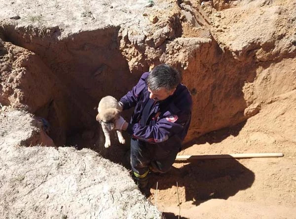 Herkes seferber oldu! O kurtarılmayı böyle bekledi