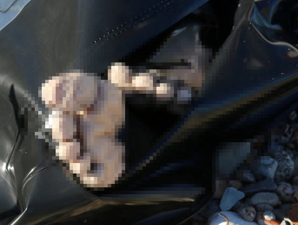 Görenler şoke oldu! Cesetler kıyıya vurdu