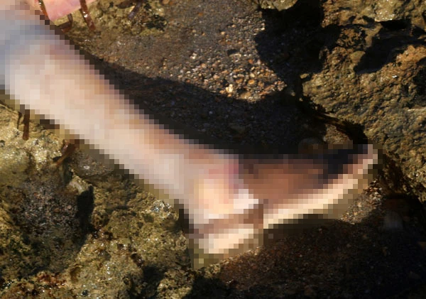 Görenler şoke oldu! Cesetler kıyıya vurdu