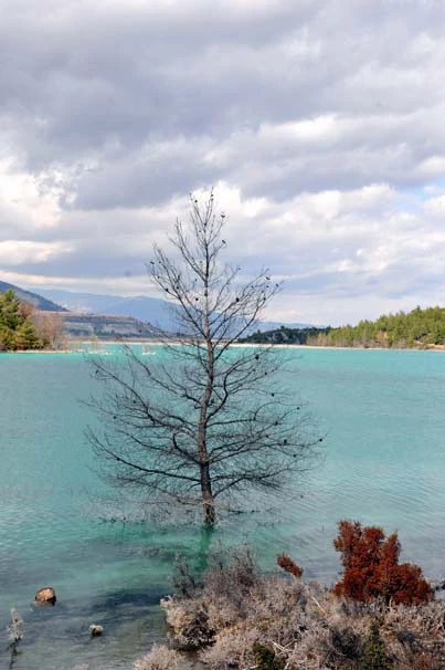 Suyu turkuaz ama tehlikeli