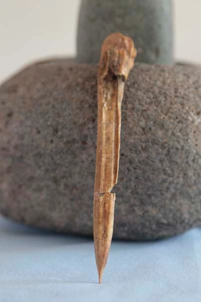 Deri ustalarının 7 bin 500 yıllık kemikten tasarım aleti bulundu