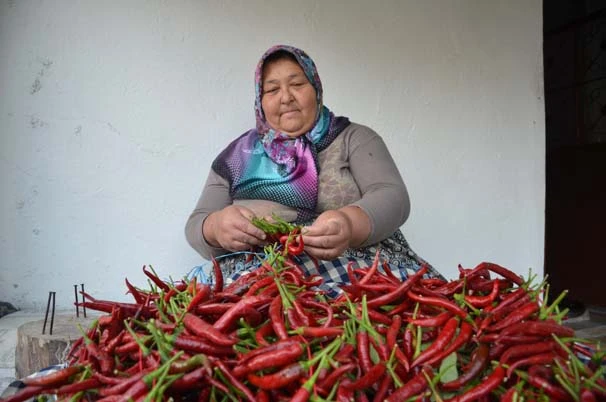 Bu köyde senede 100 ton pul biber üretiliyor