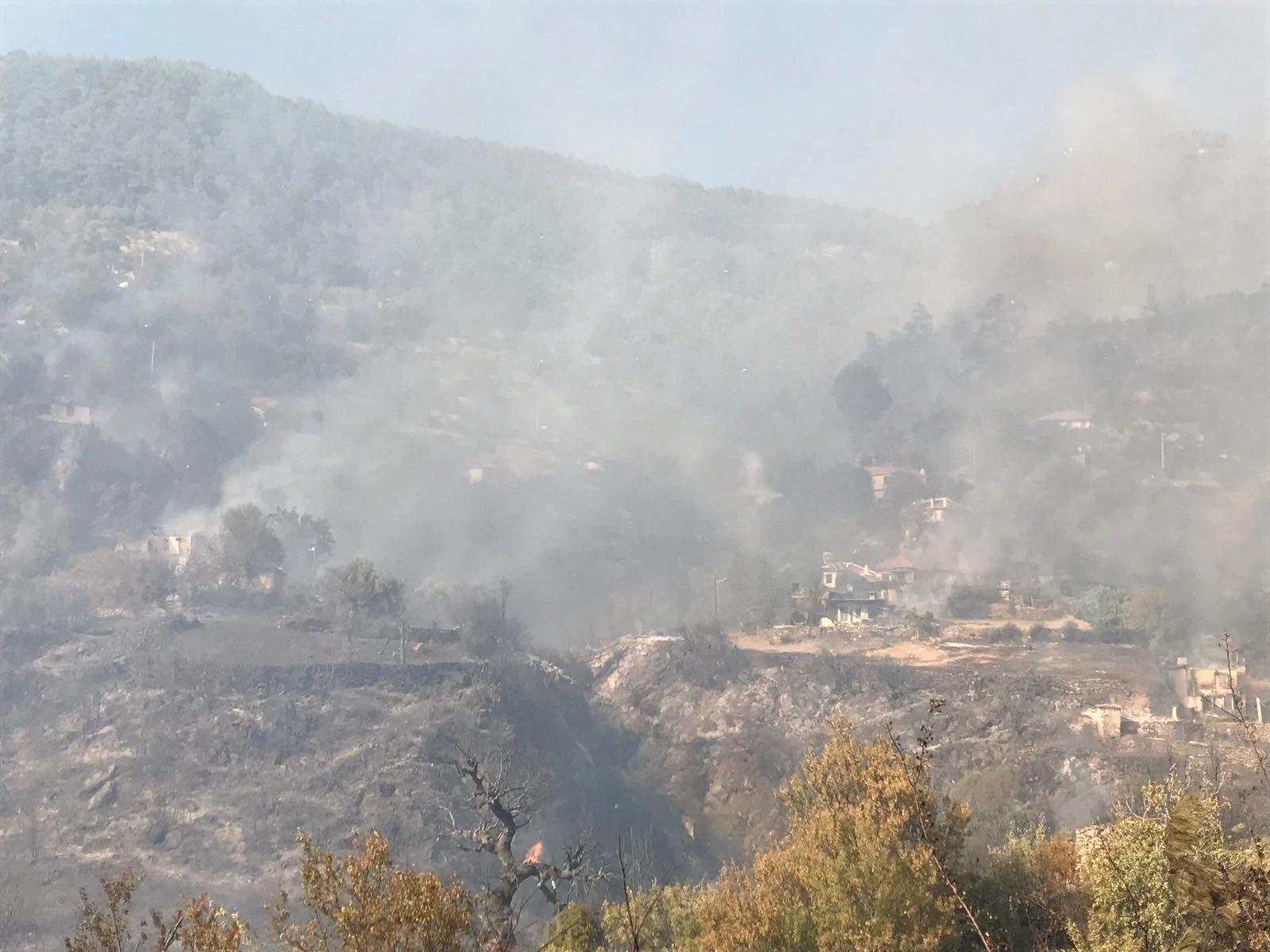 Muğla'da çıkan yangın rüzgarın etkisiyle büyüyor