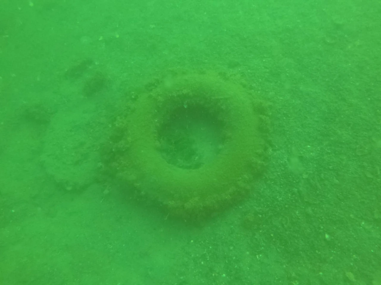 Trakya Üniversitesi öğrencilerinin çevreye duyarlı projesi takdir topladı