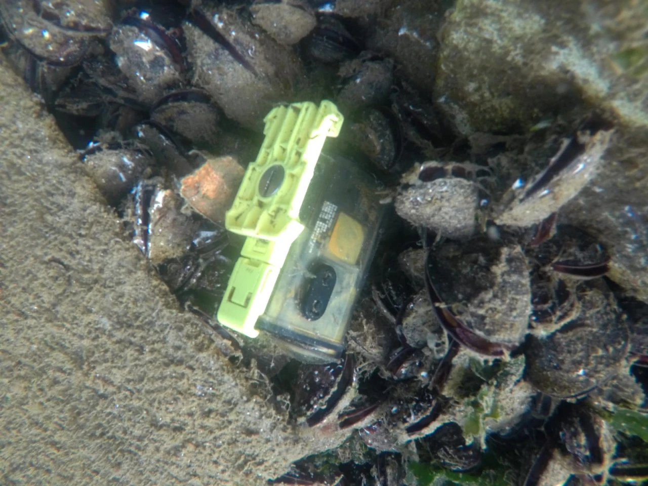 Trakya Üniversitesi öğrencilerinin çevreye duyarlı projesi takdir topladı