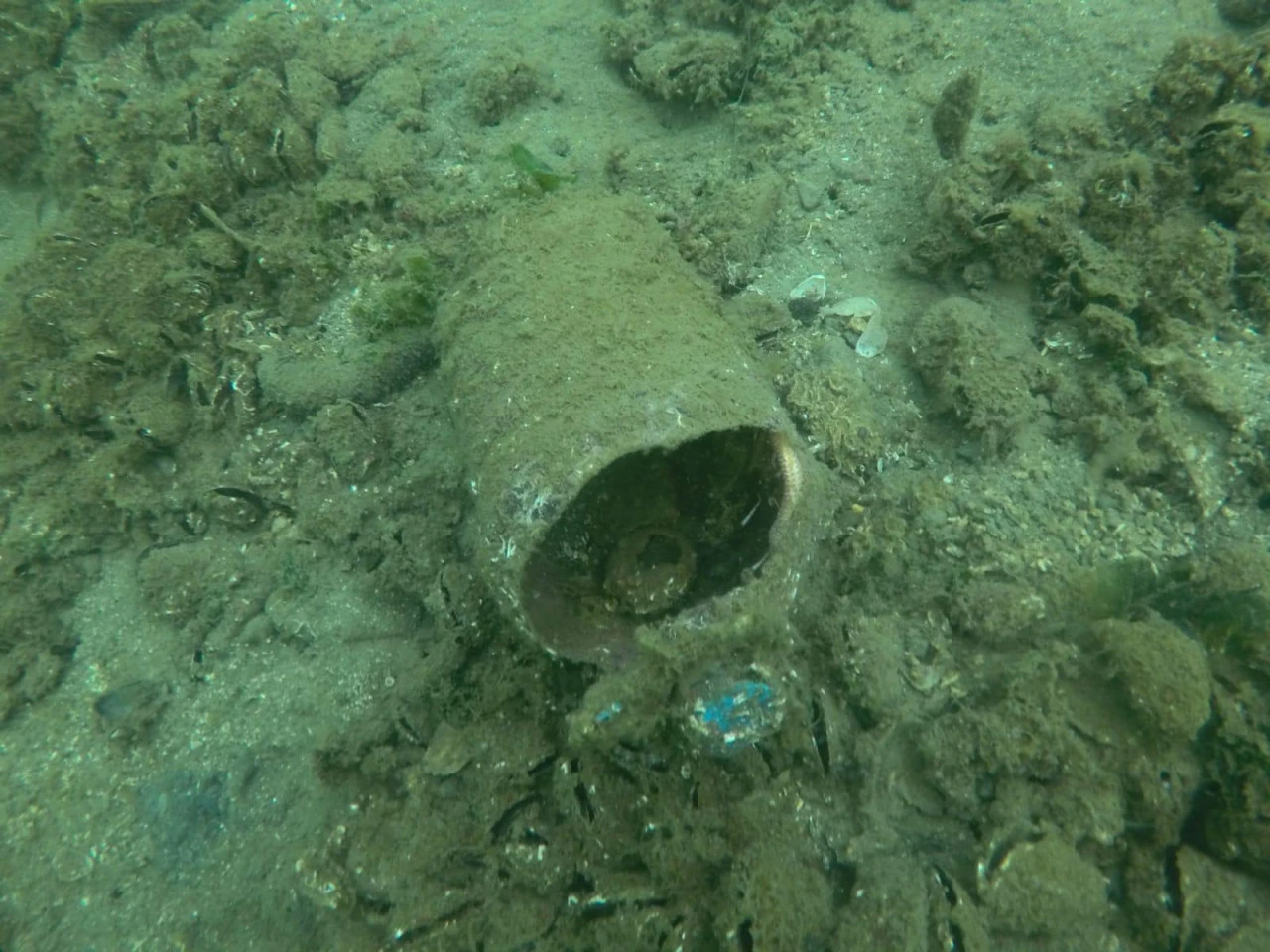 Trakya Üniversitesi öğrencilerinin çevreye duyarlı projesi takdir topladı