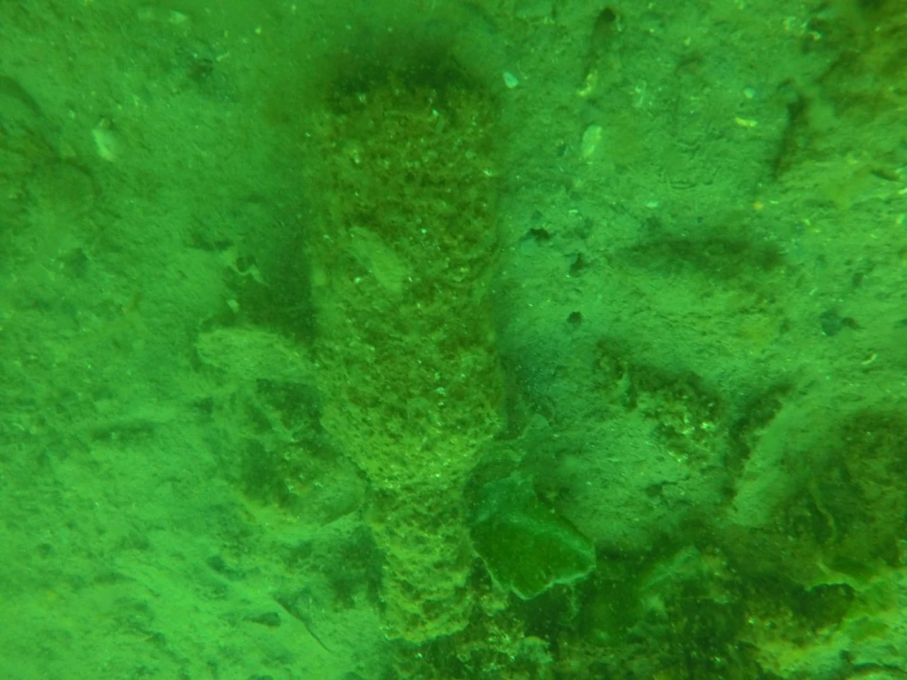 Trakya Üniversitesi öğrencilerinin çevreye duyarlı projesi takdir topladı