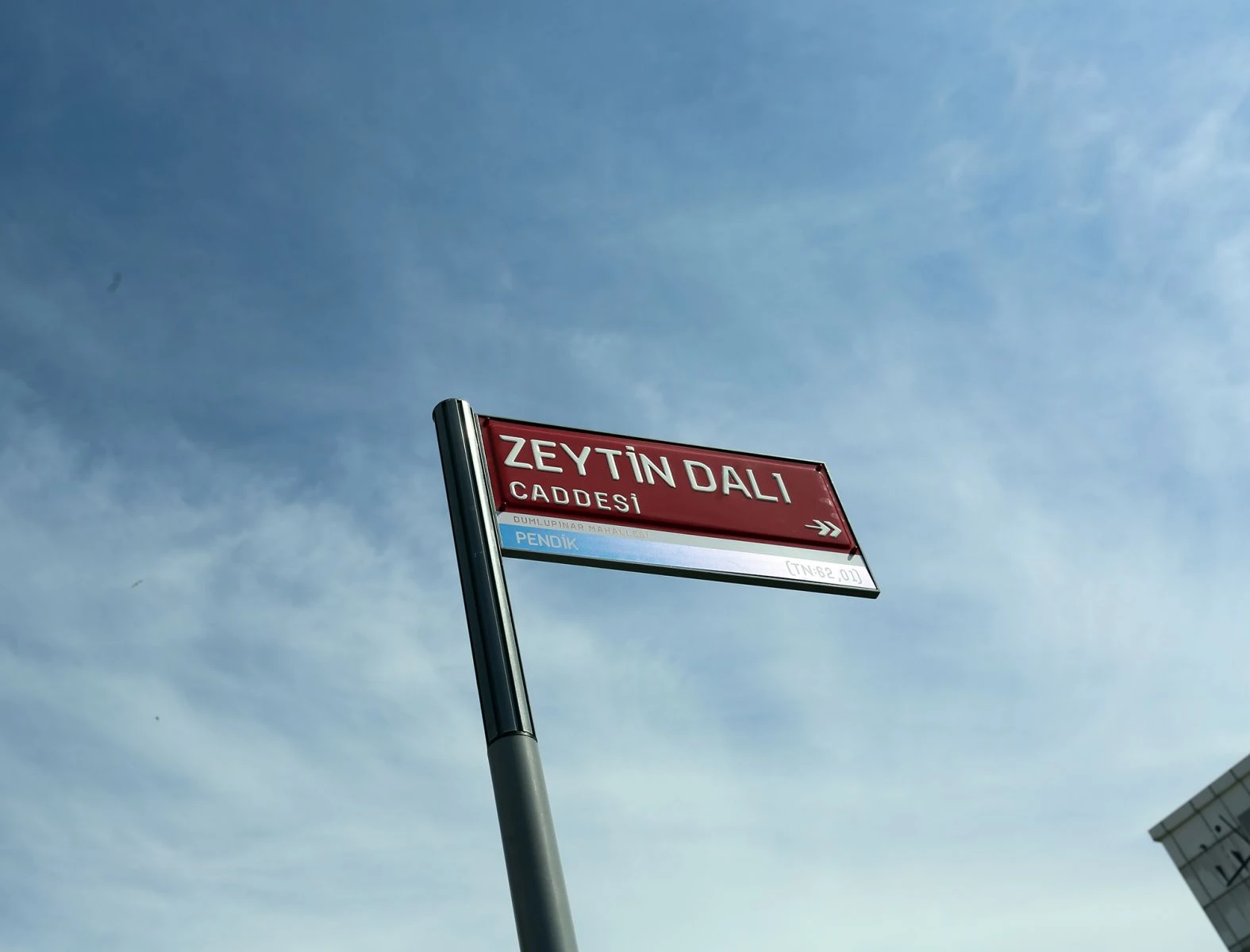 İstanbul'da 'Zeytin Dalı Caddesi' tabelası asıldı