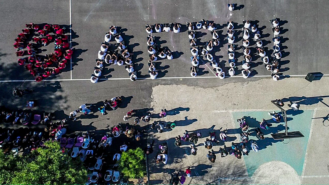 Miniklerden Mehmetçik'e koreografili destek