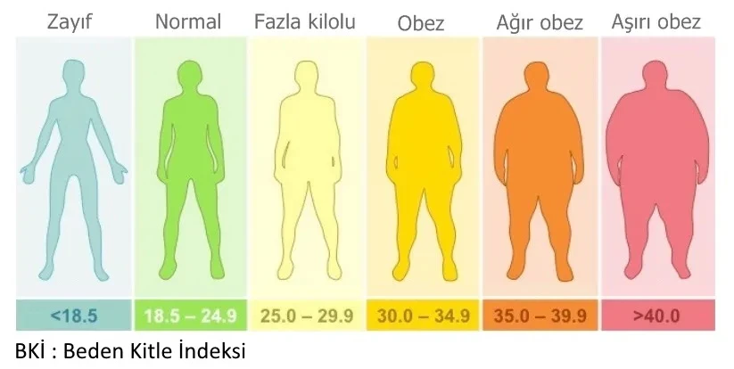 Obezitenin nedenleri ve olası sonuçları nelerdir?