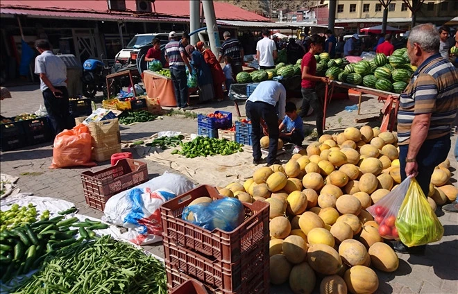 Darende'nin meşhur Irmaklı kavunu tezgâha indi