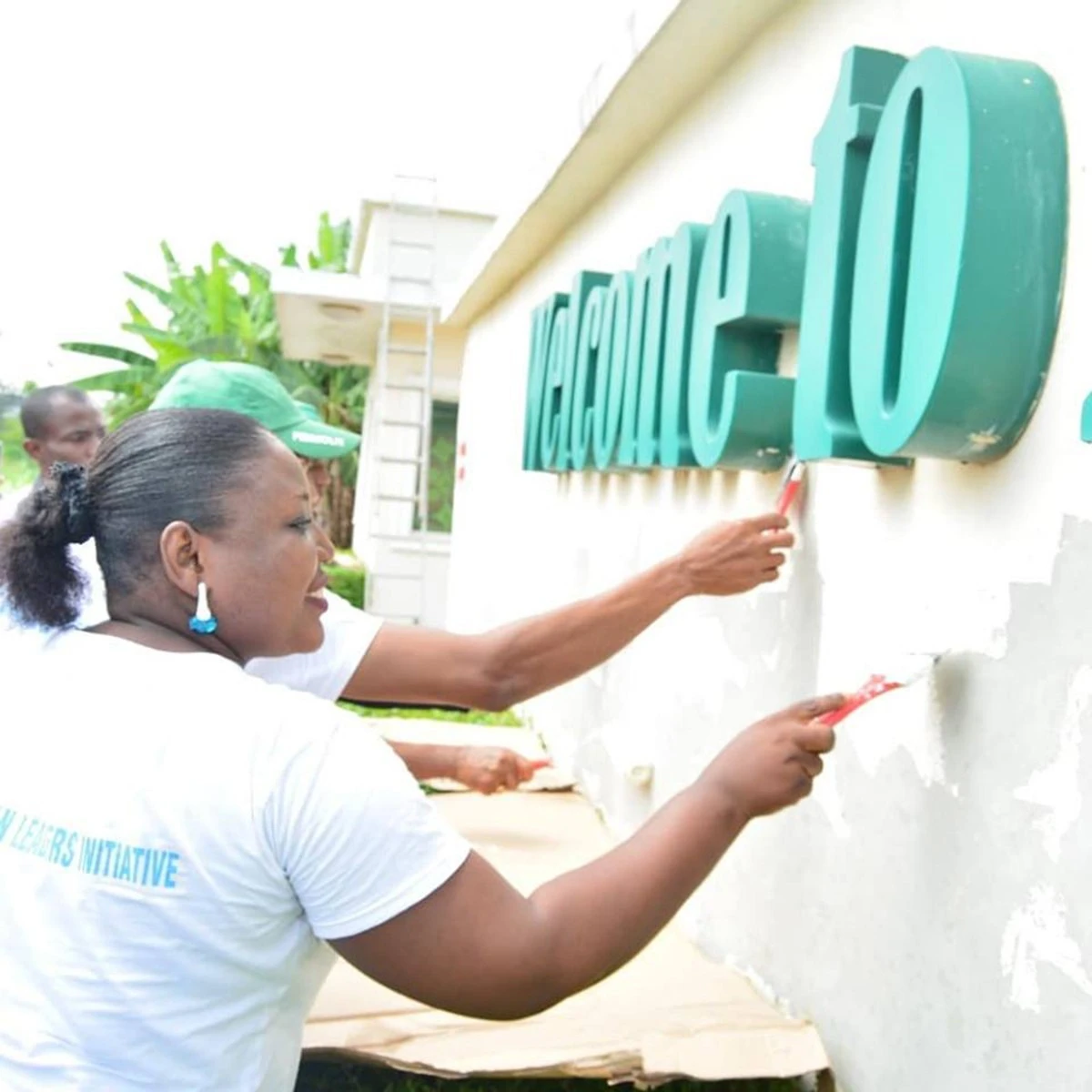 Nijerya'daki Nelson Mandela Parkı Türk boyası ile renklendirildi
