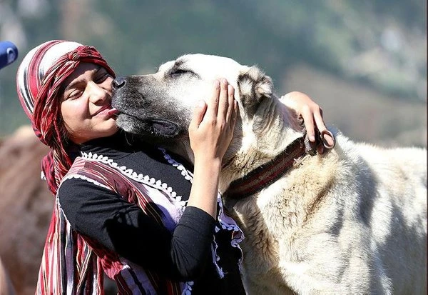 İşte Cumhurbaşkanı Erdoğan'ın onur konukları
